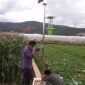 晟佳 3ST-15-40B太阳能杀虫灯 稻田诱虫灯 户外农用太阳能杀虫灯价格 范围大**防触电