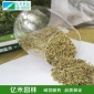 高羊茅草籽 四季青草坪种子 发芽保证 **批发